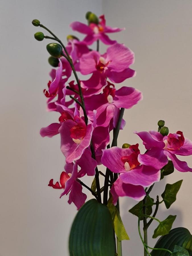 Diamond Harbour - Whole Huge Apartment - Wifi - Beach - Ramsgate Town Eksteriør billede